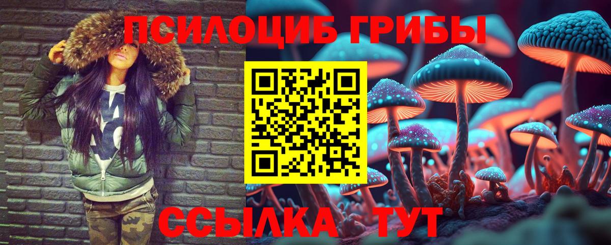 Галлюциногенные грибы Cubensis Канаш
