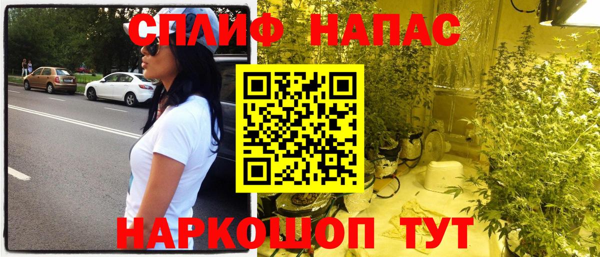 Канаш  Конопля план  Шишки марихуана марихуана  Шишки марихуана MAZAR  Вход с VPN  Бошки марихуана план 