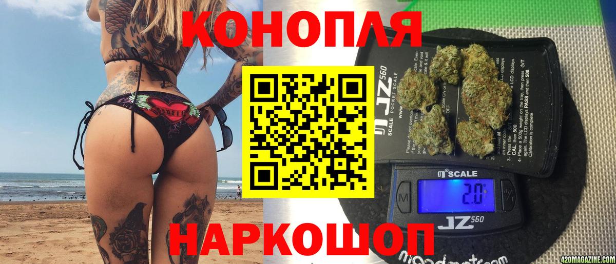 Бошки марихуана ГИДРОПОН Канаш